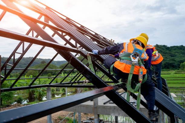 Best Storm Damage Roof Repair  in Norris City, IL