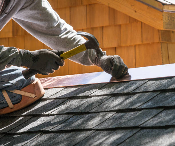 Best Roof Repair Services  in Norris City, IL